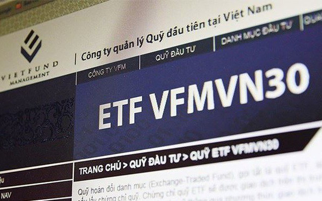 初の国産etf Vfmvn30 ポートフォリオ総額 海外etf Ftse に迫る ベトナム株情報